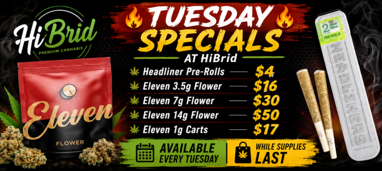 Eleven Flyer - Tuesday