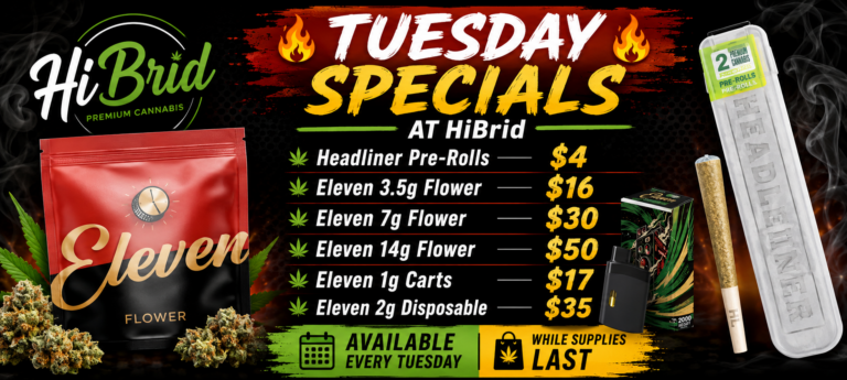 Eleven Tuesday Promo