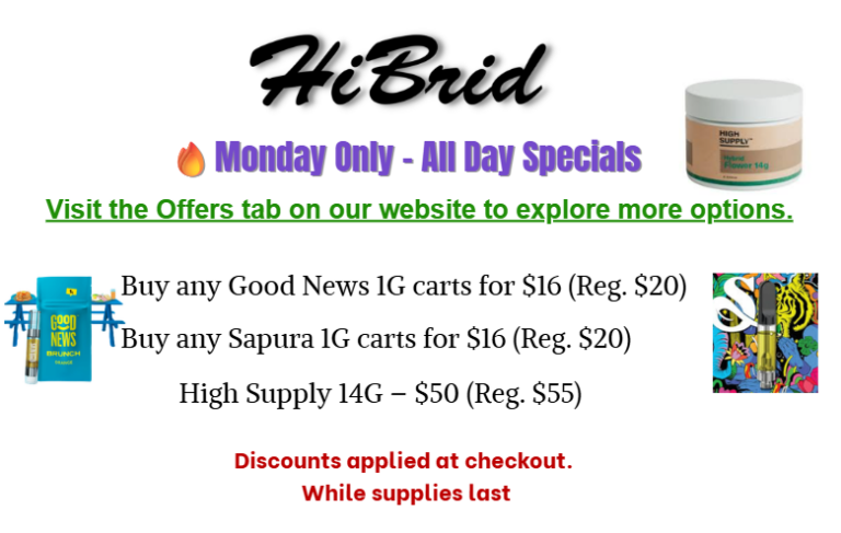 Monday Wbsite Hibrid